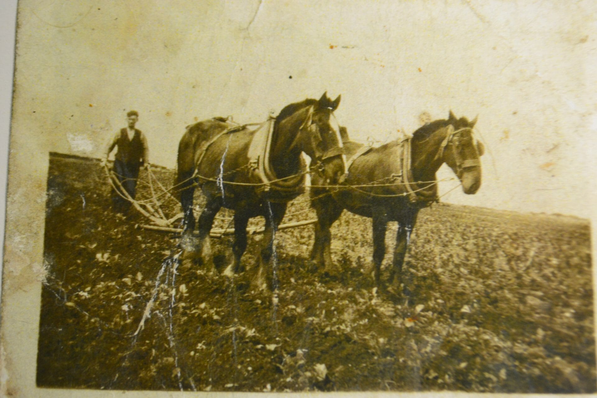Francis Kelly ploughing in Glenviggan