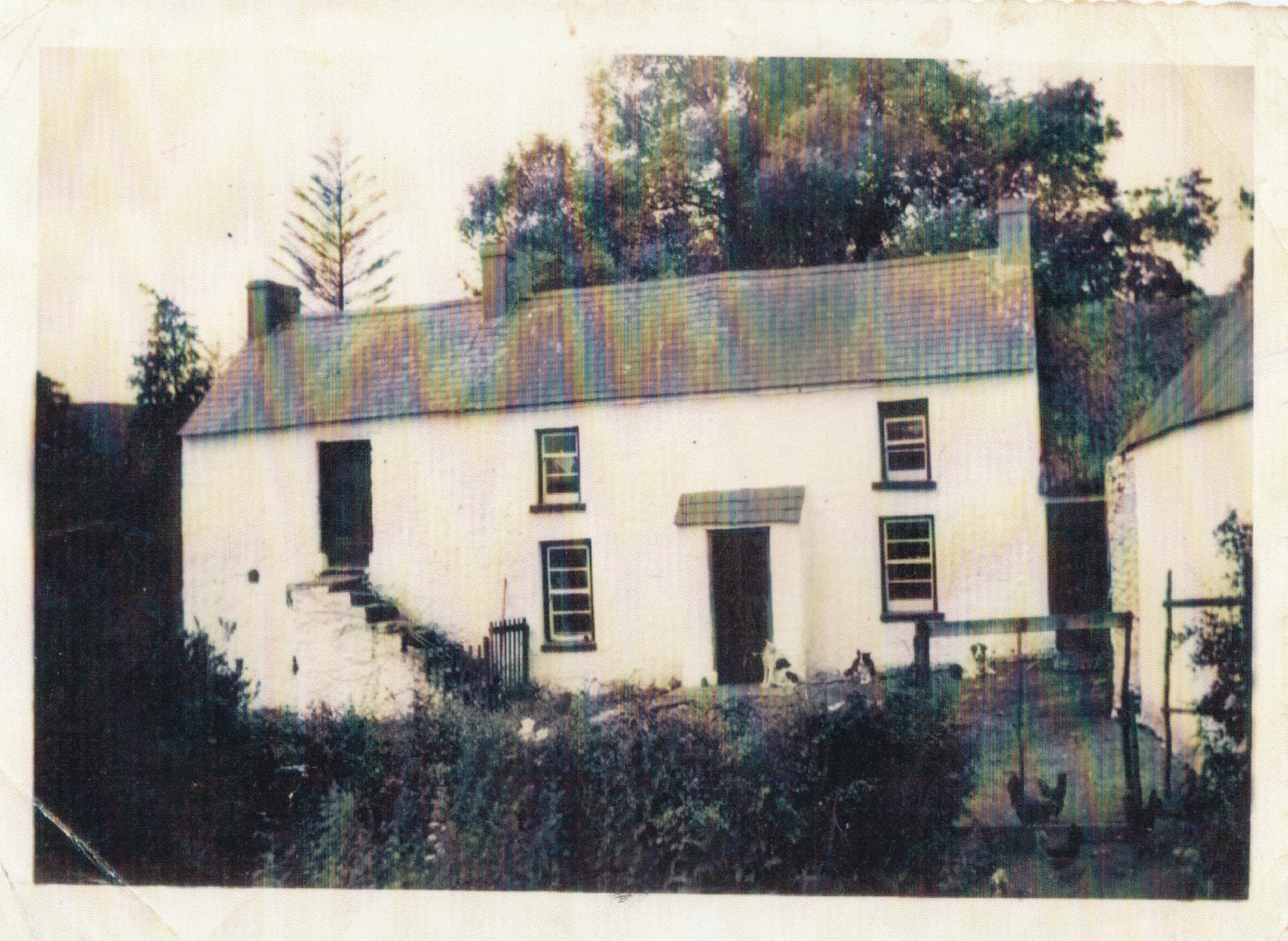 Pat Roddy`s two storey house