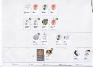 Genealogy Tree
